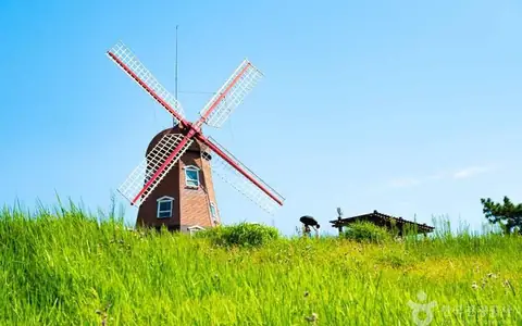바람의언덕