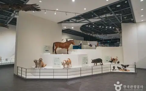천연기념물센터