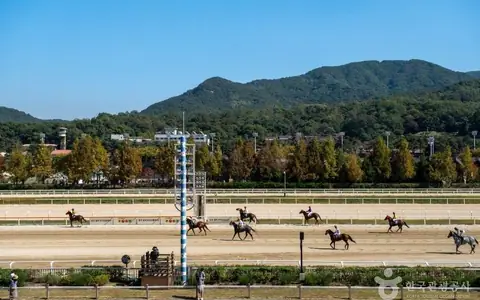 렛츠런파크 서울