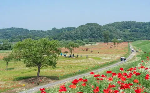 악양둑방