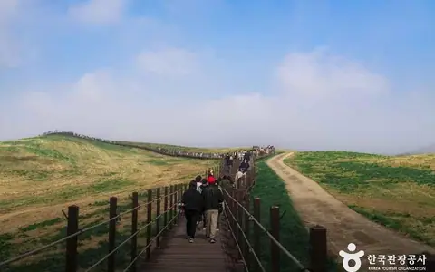 서산한우목장웰빙산책로