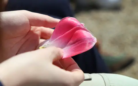 순천만국제정원박람회