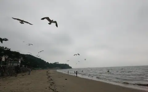 동막해수욕장