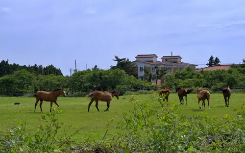 성이시돌목장